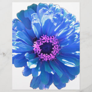 Lámina Foto floral azul margarita