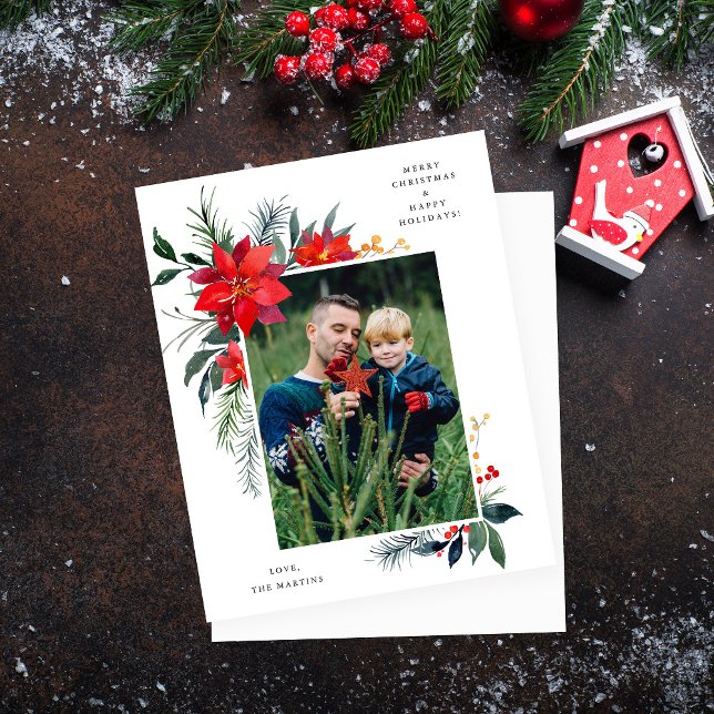 Lámina Foto fotográfica de Poinsettia Presupuestaria (Subido por el creador)