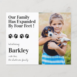 Lámina Foto presupuestaria Perro de cachorro Nueva Invita