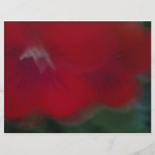 Lámina Fotografía de Flores Luminosas Rojas Modernas