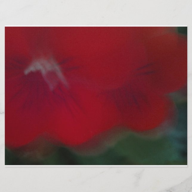 Lámina Fotografía de Flores Luminosas Rojas Modernas (Anverso)