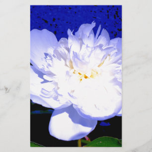 Lámina Fotografía de Peony en blanco y púrpura