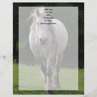 Lámina Fotografía de poni lindo