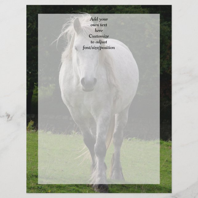 Lámina Fotografía de poni lindo (Anverso)