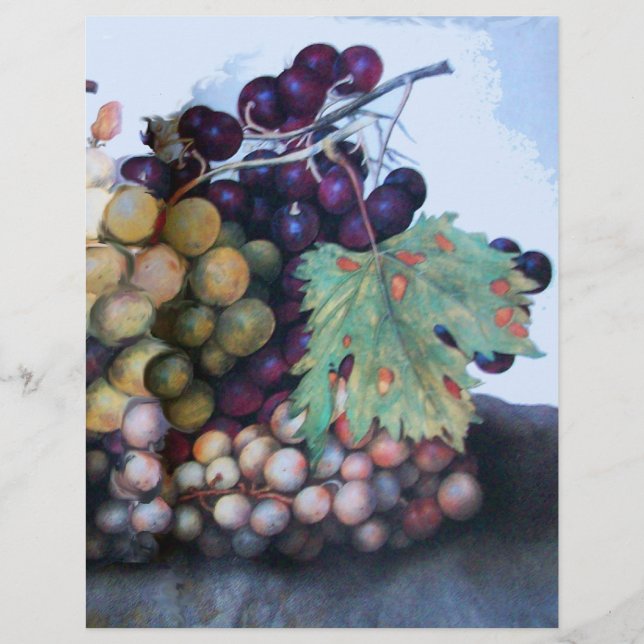 LÁMINA FRUTAS DE TEMPORADA 1 - GRAPAS Y PERLAS (Anverso)