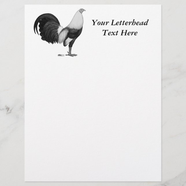 Lámina Gamecock Gray Ducking (Anverso)