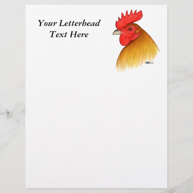 Lámina Gamecock Stag Single Comb (Anverso)