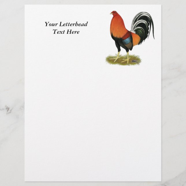 Lámina Gamecock Wheaten Rooster (Anverso)