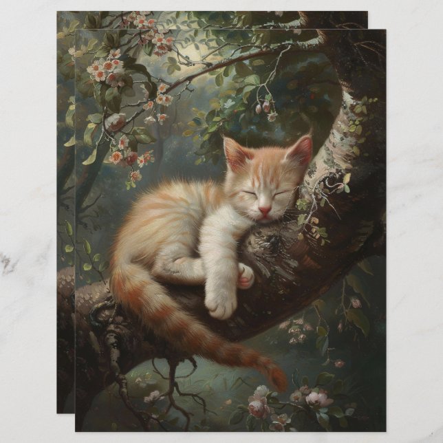 Lámina Gatito durmiendo en un papel de cuaderno de un árb (Anverso / Reverso)