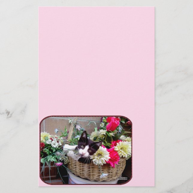 Lámina Gatito en una canasta (Anverso)