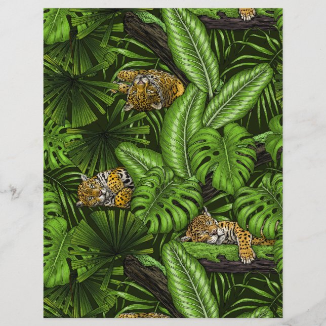 Lámina Gatitos de la jungla (Anverso)