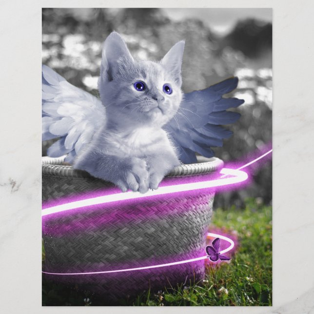 Lámina gato ángel (Anverso)