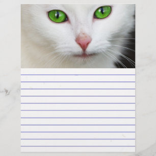 Lámina Gato blanco de ojos verdes
