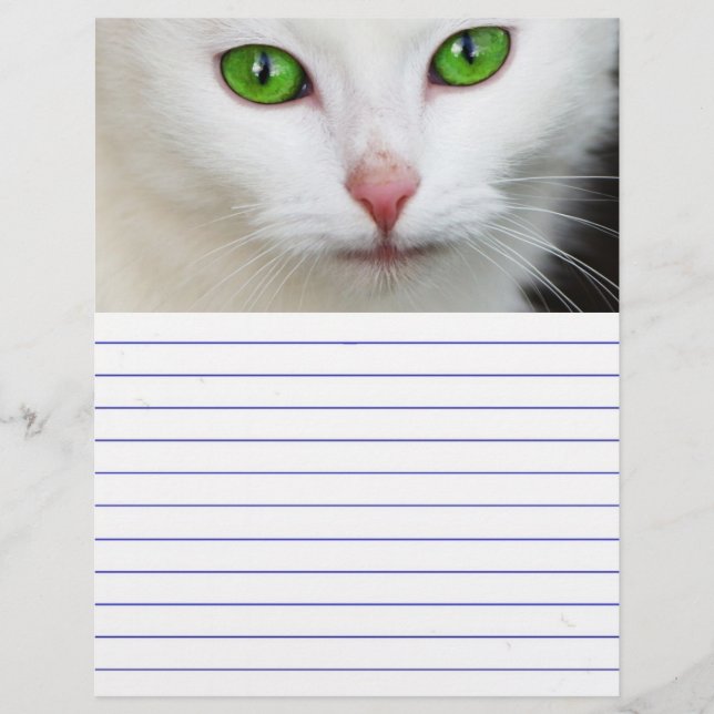 Lámina Gato blanco de ojos verdes (Anverso)