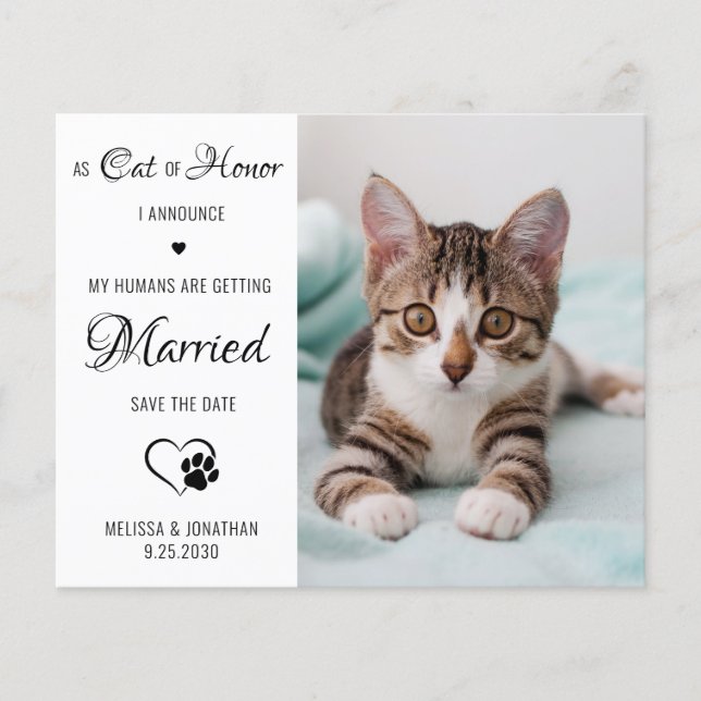 Lámina Gato De Mascota De Honor Foto Gato Guardar Las Tar (Anverso)