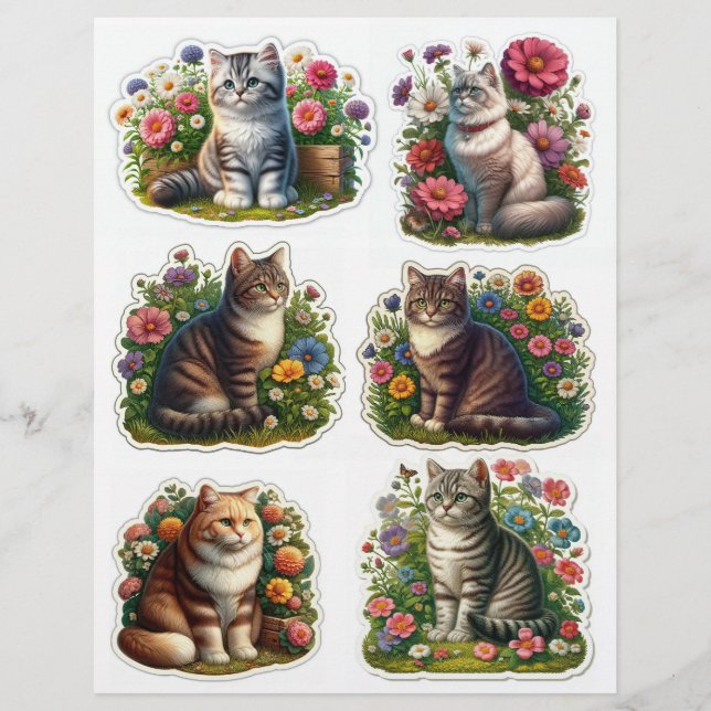 Lámina Gato de parche de flores, Ilustraciones gatitos (Anverso)