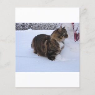 Lámina gato del bosque noruego en la nieve