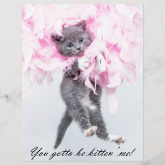 Lámina Gato gracioso y gracioso