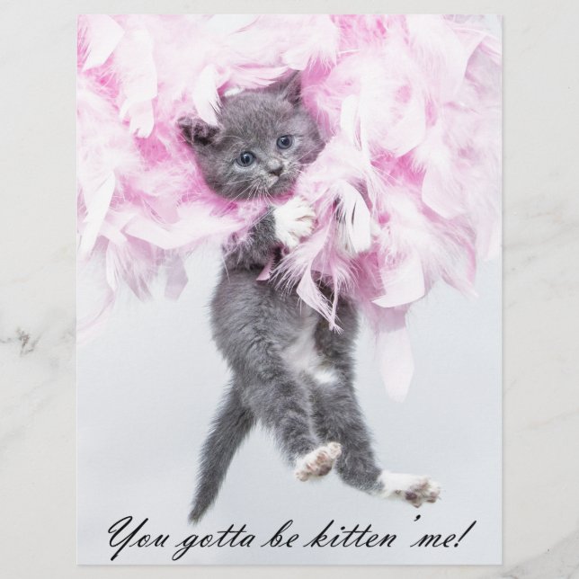 Lámina Gato gracioso y gracioso (Anverso)