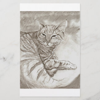 Lámina Gato Minino