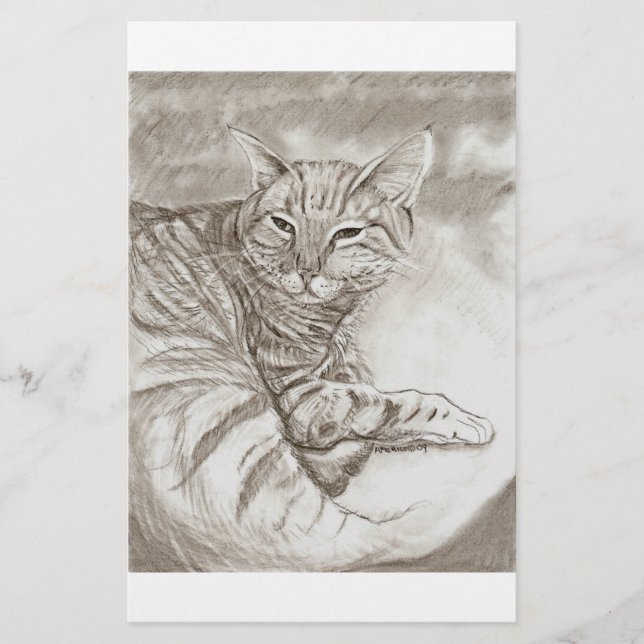 Lámina Gato Minino (Anverso)