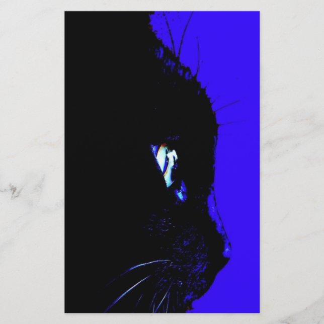 Lámina Gato negro (Anverso)