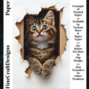 Lámina Gato Tabby Asomándose Por Agujero CN5 Papel Para Á