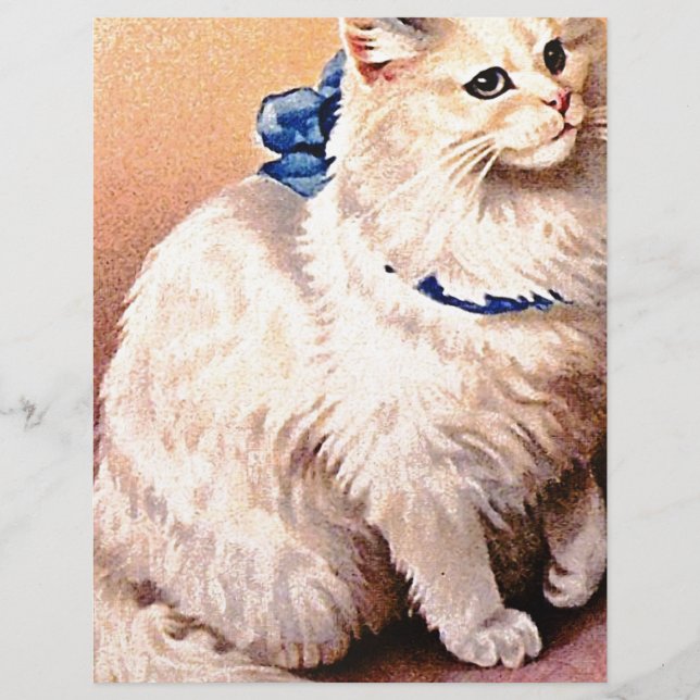 Lámina Gato Vintage con Lazo Azul (Anverso)