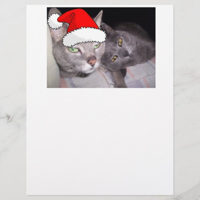 Lámina Gatos navidades (Anverso)