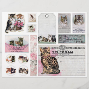 Lámina Gatos y Gatitos Helena Maguire Cortes Caprichosos