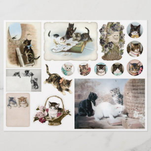 Lámina Gatos y Gatitos Vintage Helena Maguire Cortes Sele