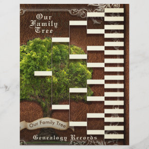 Lámina Genealogy Pedigree
