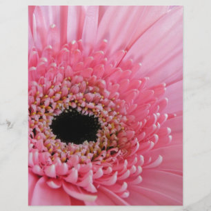 Lámina Gerbera Daisy