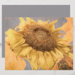 Lámina Gigante País Girasol Arte de Decoración Gris Amari