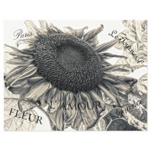 Gigante Sunflowers Vintage Sepia Decoupage Ephemer