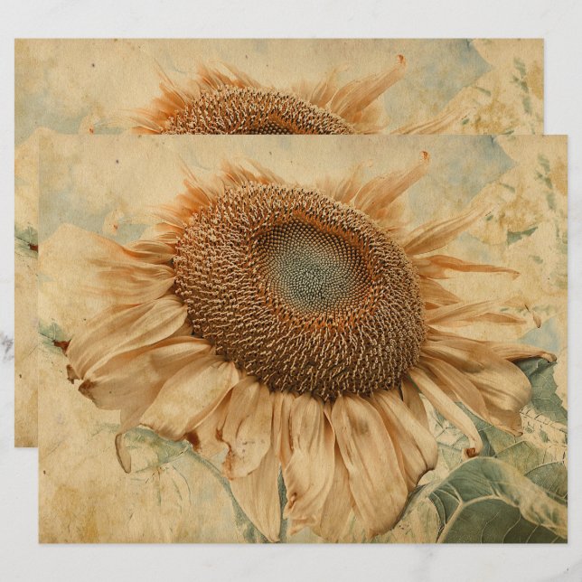 Lámina Gigantes girasoles Amarillo Viejo Vintage Art Deco (Anverso / Reverso)