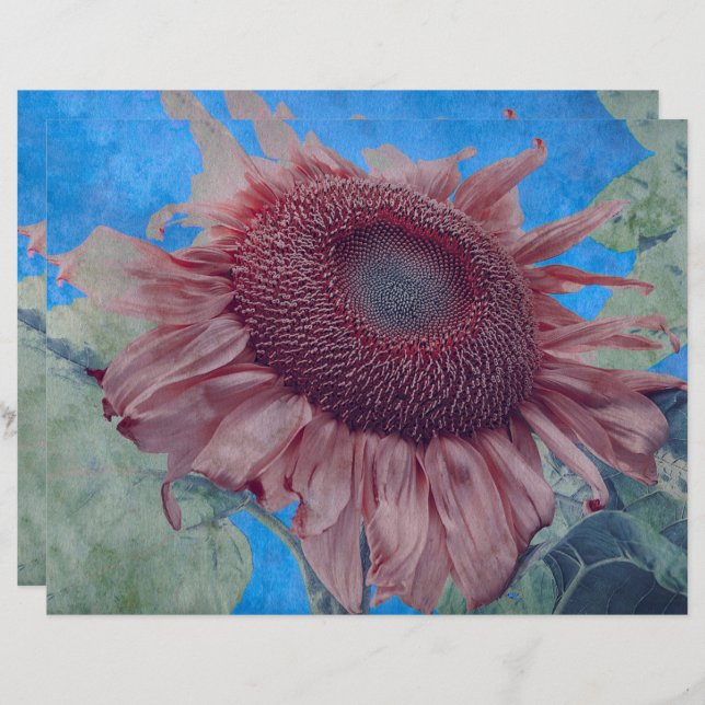Lámina Gigantes Sunflowers Country Pink Blue Decour Art (Anverso / Reverso)