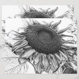 Lámina Gigantes Sunflowers Vintage Arte Blanco Y Negro