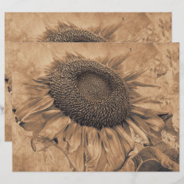 Lámina Gigantes Sunflowers Vintage Sepia Brown Decoupage
