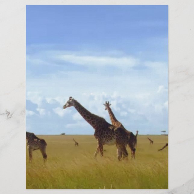 Lámina Girafas del Parque Nacional de Nairobi (Anverso)