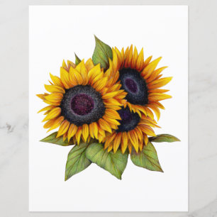 Lámina Girasoles