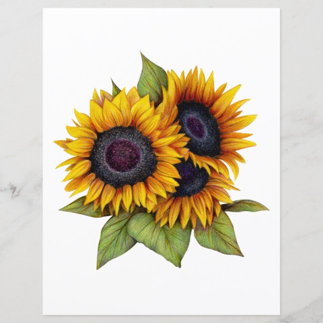 Lámina Girasoles (Anverso)
