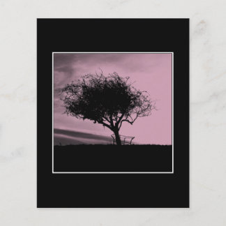 Lámina Glastonbury Hawthorn. Árbol en la colina. Rosa, Ne
