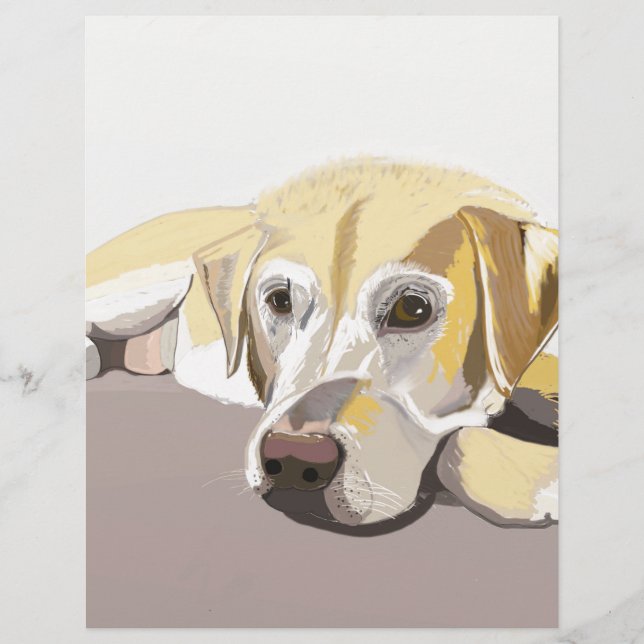 Lámina Golden Labrador (Anverso)