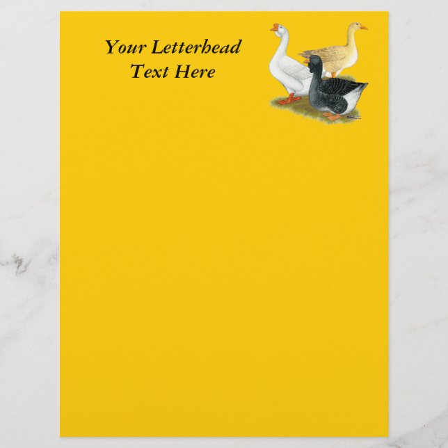 Lámina Goose Trio (Anverso)