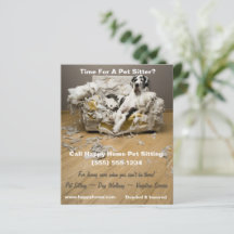 Gran danés en volante de sentada para Mascota de S