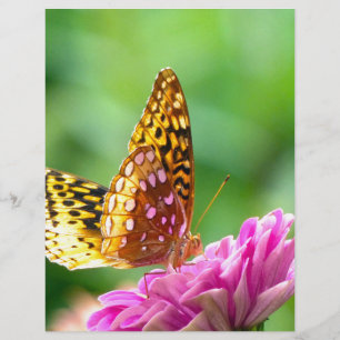 Lámina Gran Fritillary Español