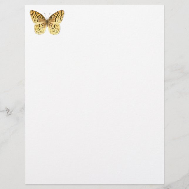 Lámina Gran Fritillary Letterhead (Anverso)
