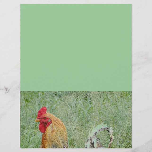 Lámina Granja de animales gallos gallina colorida