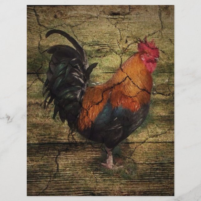 Lámina Granja de madera de grano de pollo gallo de campo  (Anverso)